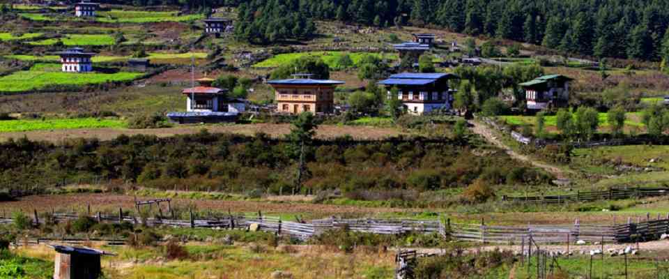 If you wish to experience Bhutanese culture and tradition any time of the year then a tailor made Bhutan cultural trip is meant for you. The drive through the undulating landscape takes you to the central Bhutan where you will experience ancient fortresses, monasteries, and temples.