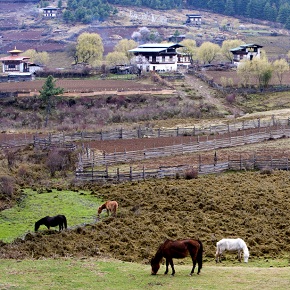 places in Bhutan