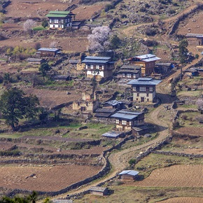 Bhutan Transition House